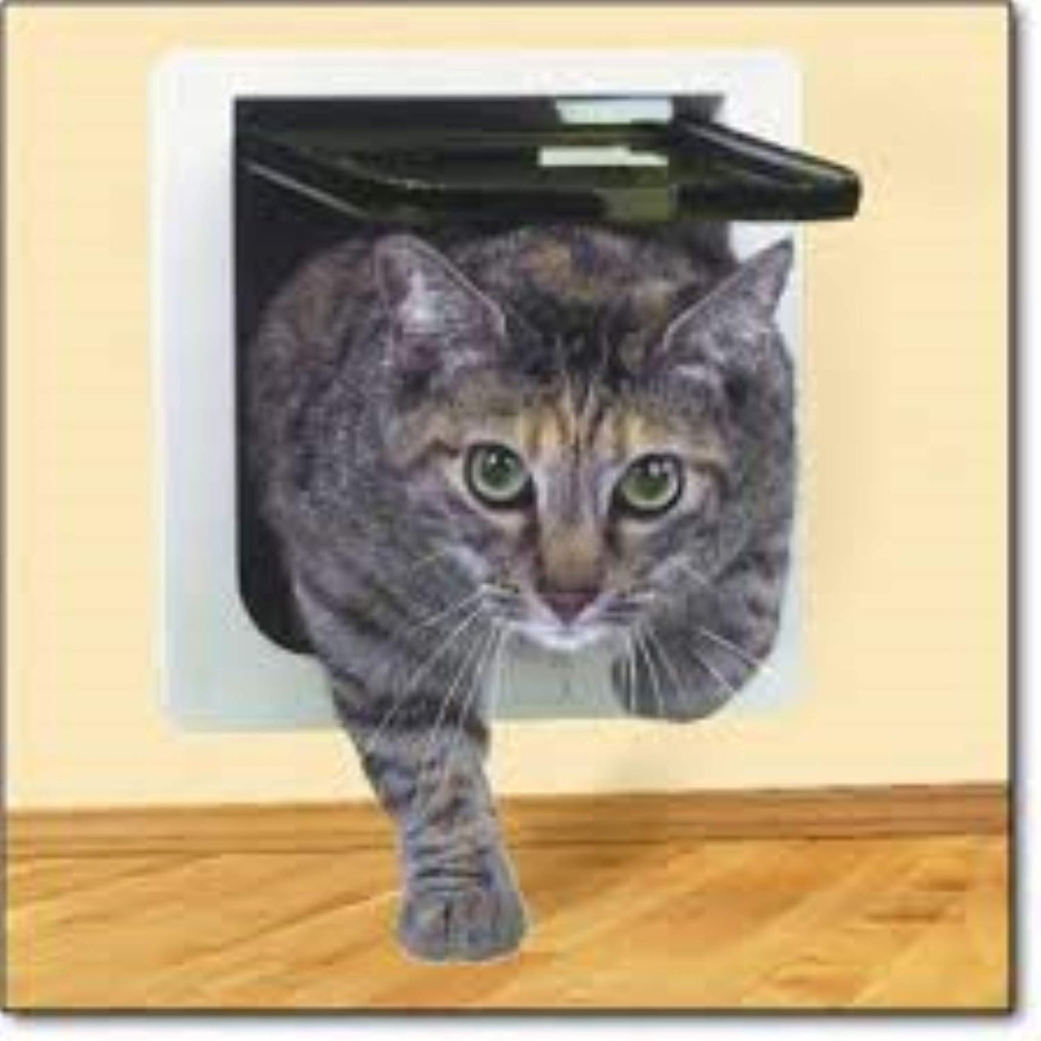 Ideal Pet Products Cat Flap Door with 4 Way Lock, 6.25" x 6.25" Flap Size : Pet Doors : Pet Supplies