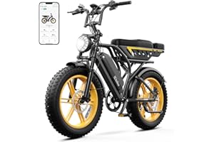 TS TST GRP LLC Electric Bike for Adults, 1500W Peak Ebike, 48V 15AH Waterproof Removable Battery, 7 Speed, 30 MPH Max, 20" Electric Off-Road Bike,UL 2849 Certification