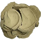 LaPlaineDuNord Haitian Clay - Original 100% Natural Calcium Bentonite| Dirt Cookie, Creamy | Non-Sticky, Firm &amp; Amazing Crunch for Women and Men | Ideal for Sculpting, Cleansing Facial &amp; Body Mask