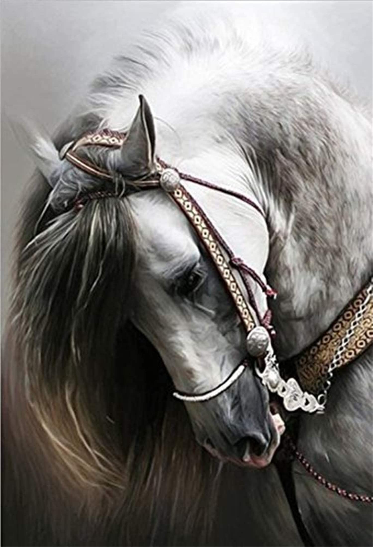 Cross Stitch Kits Stamped, OWN4B White Horse Printed Pattern 11CT 14.2x18.1 inch DIY Embroidery Kit (Horse)