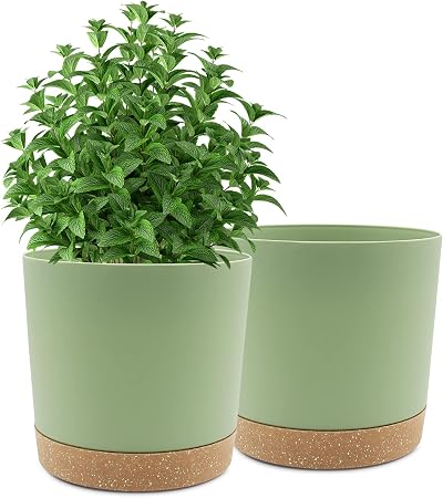 QCQHDU 25.4cm Plant Pot 2 Pack with Drainage Holes and Saucer Green 25.4cm