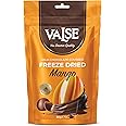 Chocolate Covered Mango, Milk Chocolate Covered Freeze Mango, 2.8 oz Chocolate Covered Fruit, Chocolate Dipped Mango (Mini, Mango)