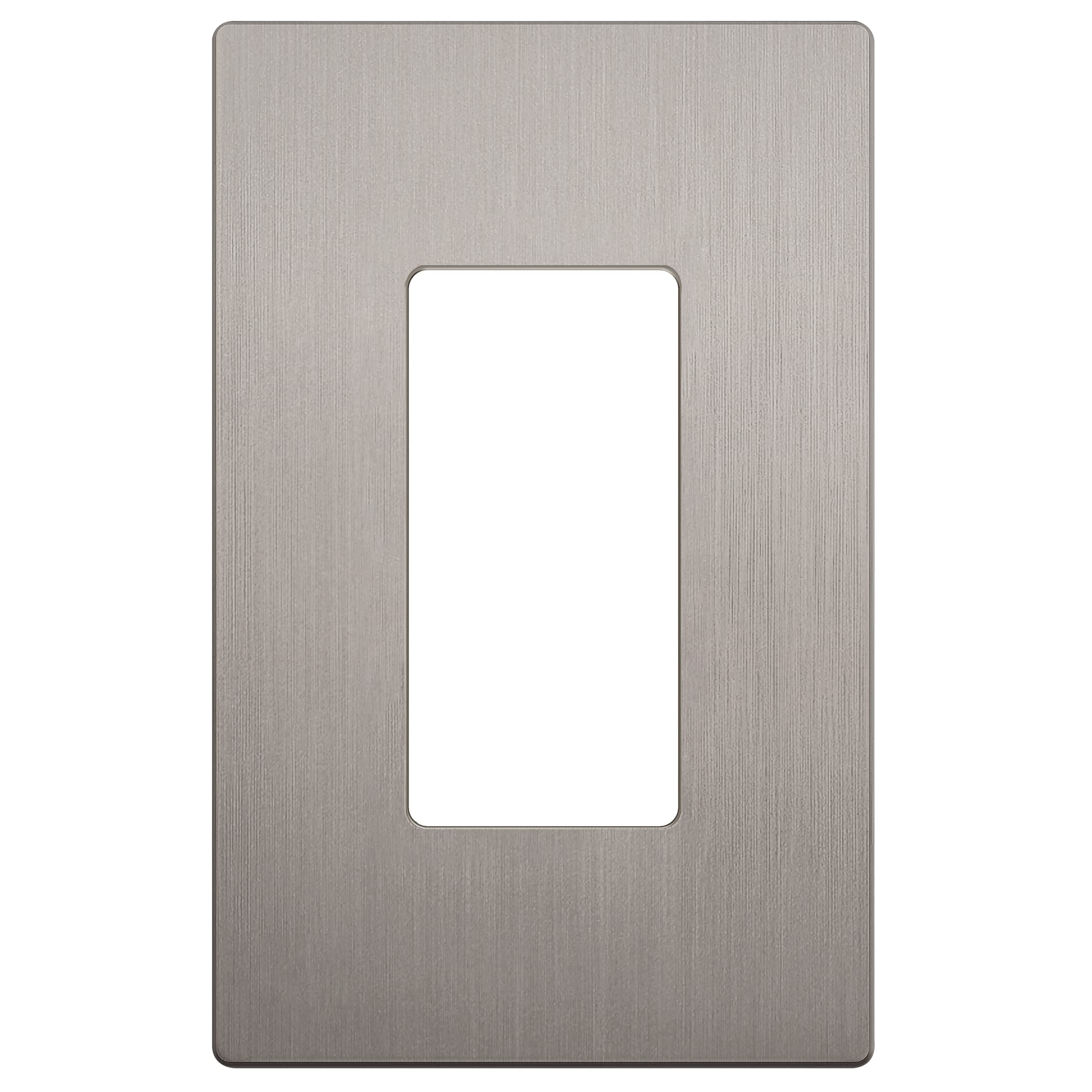 LIDER Brushed Finish Decorator Switch