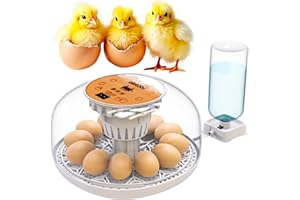 OKKÖBI Okkobi M12 Egg Incubator with Automatic Turner and Humidity Control - 12/24 Eggs, 360° View, Easy to Use and Clean - Incubadora de Huevos de Gallina - Made for US - White & Orange