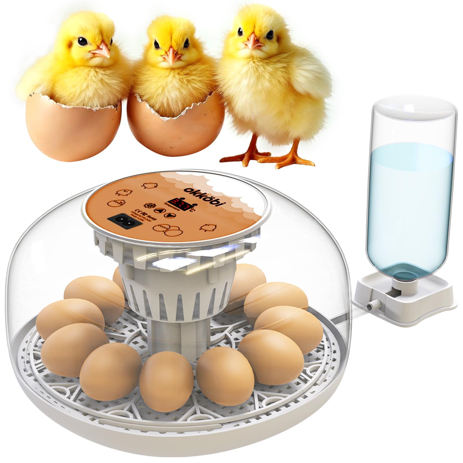 Photo 1 of Okkobi M12 Egg Incubator with Automatic Turner and Humidity Control - 12/24 Eggs, 360° View, Easy to Use and Clean - Incubadora de Huevos de Gallina - Made for US - White & Orange