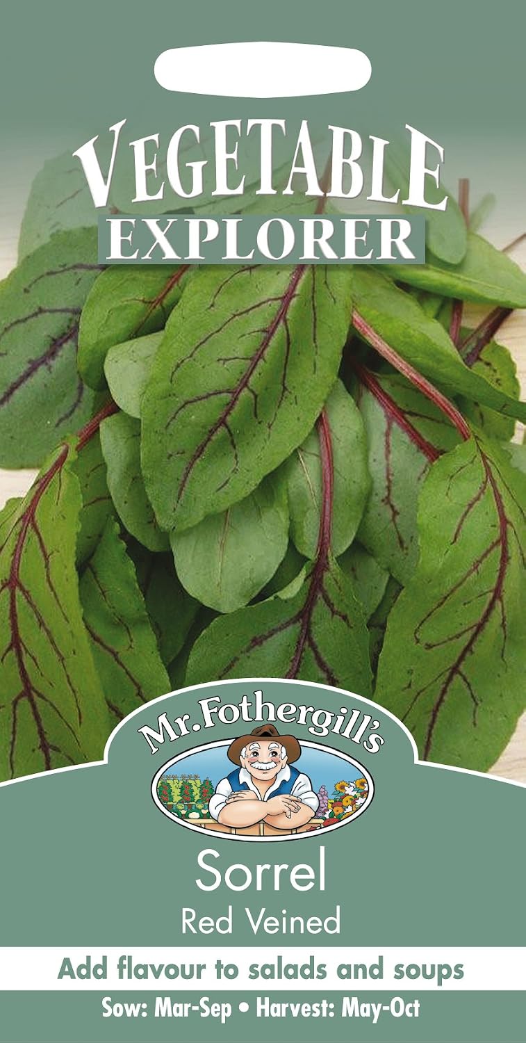Mr Fothergill's 10597 Vegetable Seeds, Sorrel Red Veined