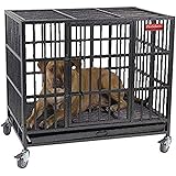 parpet dog crate