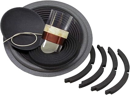 8 inch subwoofer recone kit