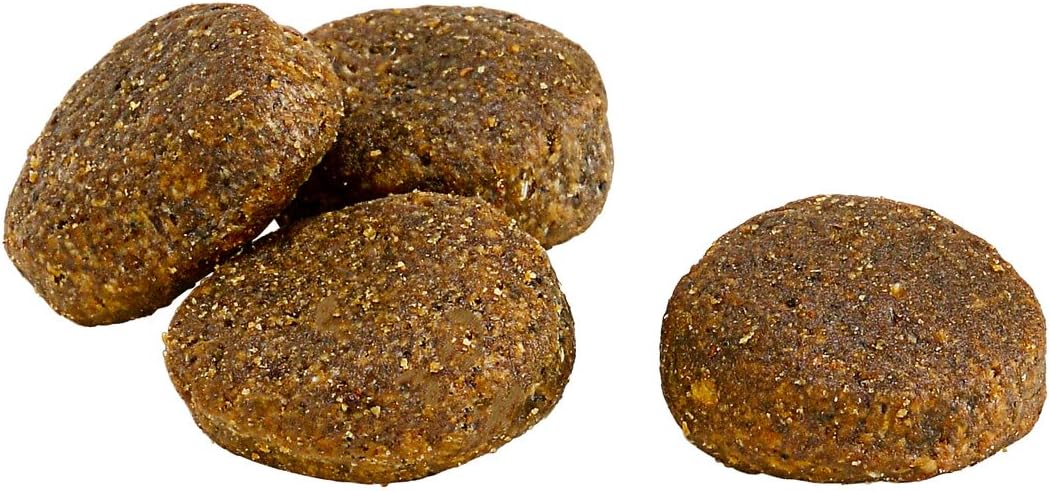 Dehner Wild Nature Adult Dry Dog Food Mountain Lake 12 kg, 12 kg (Pack of 1) - Image 3