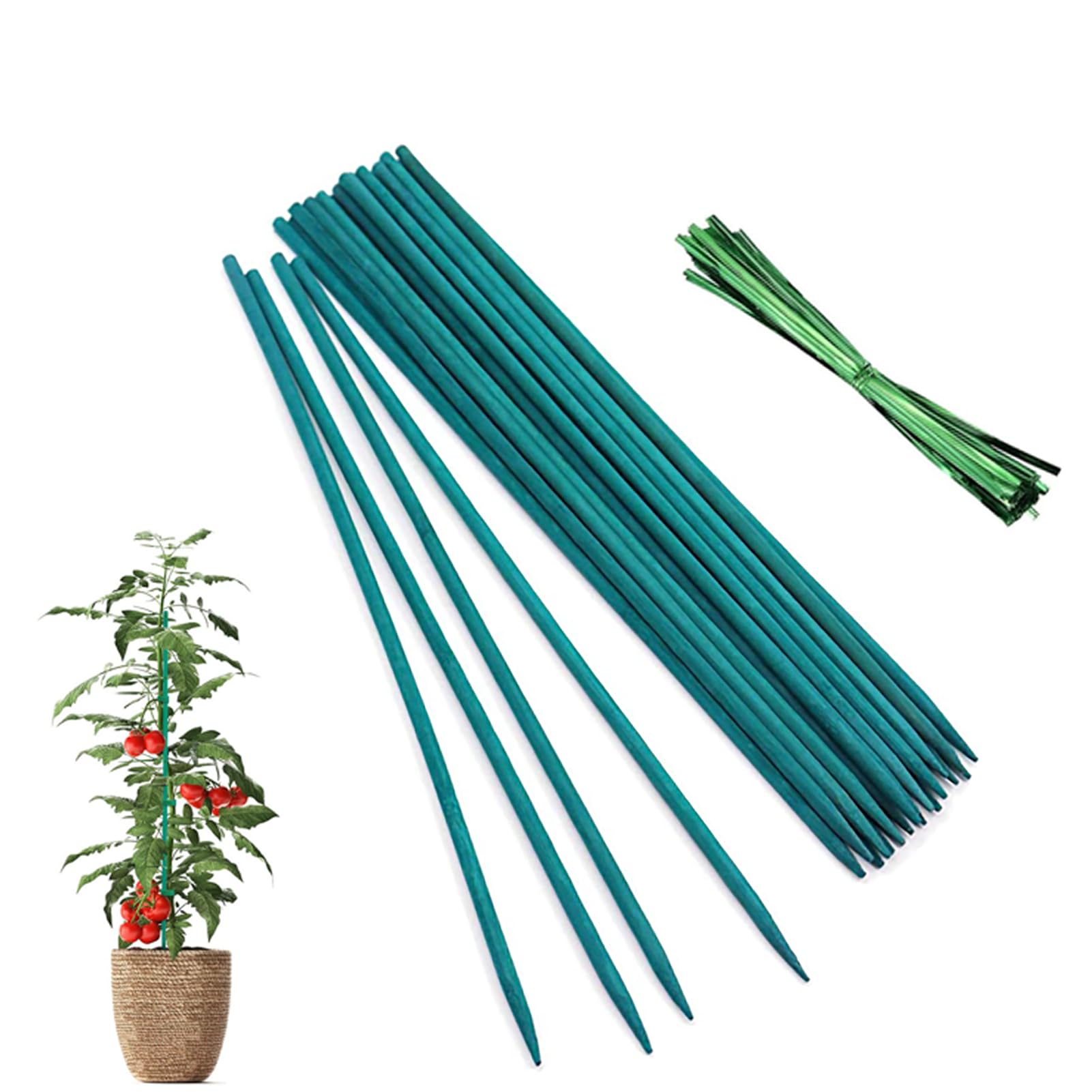 DeJivsin 25pcs 30 cm Plant Sticks, Stakes Bamboo Sticks, 25 Metallic Ties Orchid Rod, Plant Sticks Support for Garden Climbing Plant Extension Plant Support Plant Rod