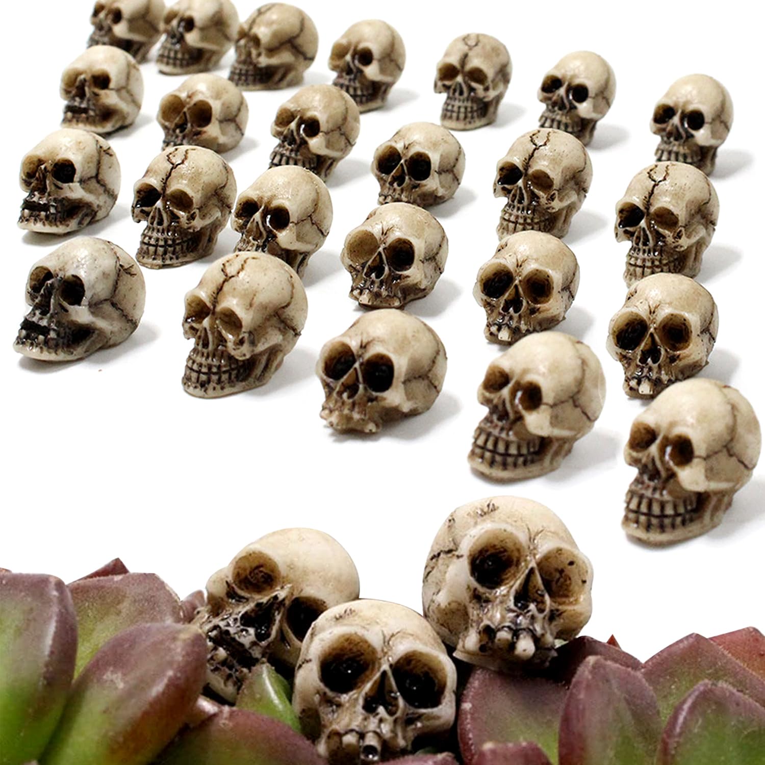 YumSur 20Pcs Mini Skulls Decor, Small Mini Resin Realistic Skull Toys, Skull Figurine Prank Prop Decoration Party Decorations ，Realistic Skeleton Halloween PropsDIY Accessories Garden Pot Ornaments