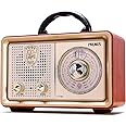 PRUNUS J-110 Radio Portable AM FM,Transistor Plug in Wall AC Power&Battery Powered&Rechargeable Radio for Emergency Use,Vinta