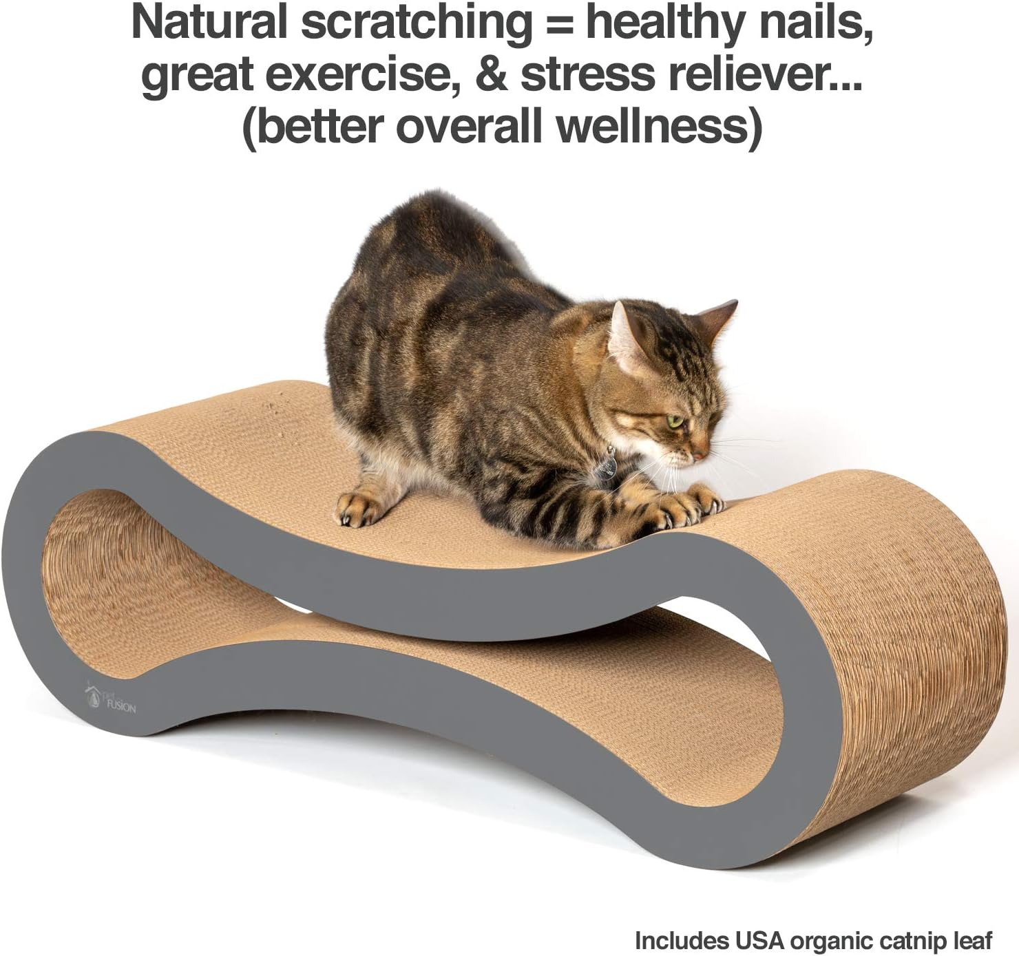 PetFusion Ultimate Cat Scratcher Lounge (Slate Gray). [Superior Cardboard & Construction, Significantly outlasts Cheaper alternatives] : Pet Beds : Pet Supplies