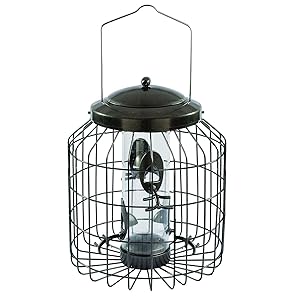 Gardman BA01820 Heavy Duty Squirrel Proof Seed Bird Feeder, 9.45" Wide x 15.75" High