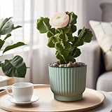 T4U 15cm Self Watering Plant Pots Indoor 6 Pack Green Plastic Flower Pots view 8