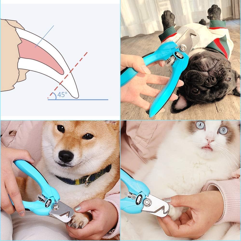 science diet skin allergies