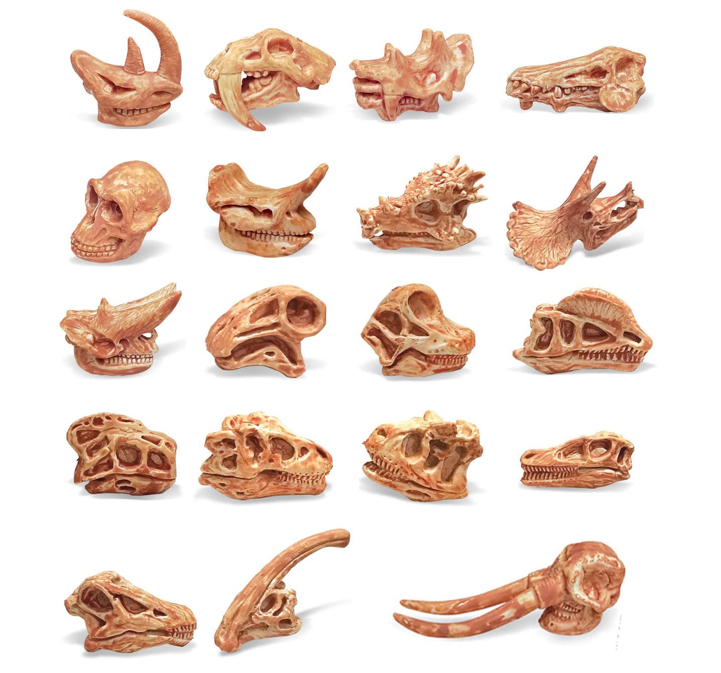 Photo 1 of 19 PCS Mini Mammal Skull Set Realistic Dinosaur Bones Prehistoric Animals Head Skeleton Playsets Ancient Daeodon Mastodon Collection Figures Models