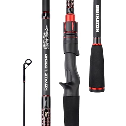 Image result for kastking casting rod