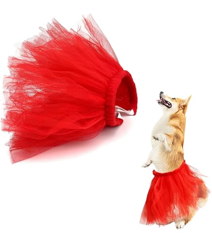 Amazon.com: Red Dog Dress