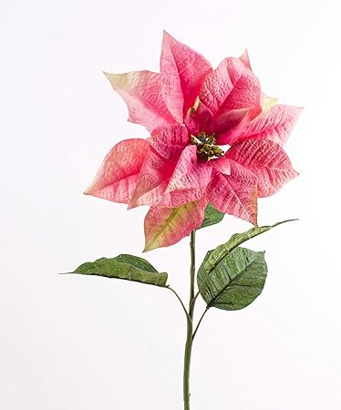Stella Di Natale Rosa.Artplants De Stella Di Natale Decorativa Poinsettia Rosa 80cm O 27cm Fiore Di Natale Fiore Artificiale Amazon It Casa E Cucina
