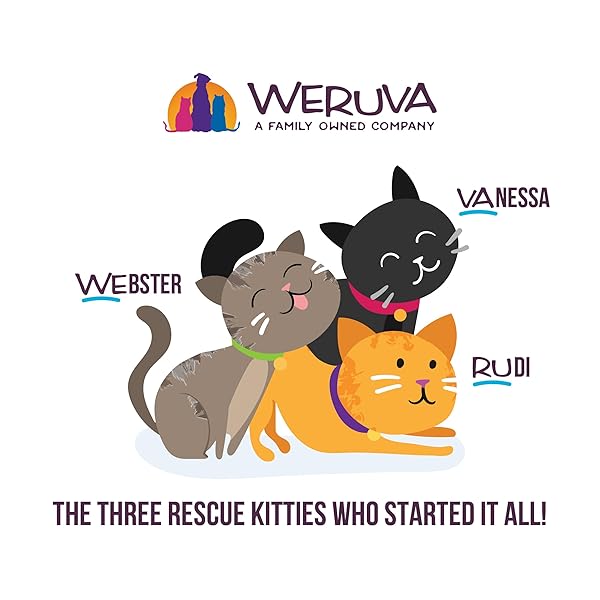 WERUVA CATS IN THE KITCHEN, PUMPKIN LICKIN’ CHICKEN WITH CHICKEN BREAST IN PUMPKIN SOUP CAT FOOD, 3OZ POUCH (PACK OF 12)