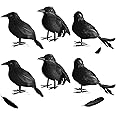 Kemooie 6 Packs Real Feathered Halloween Black Crows