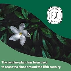 FGO Organic Jasmine Green Tea, 100