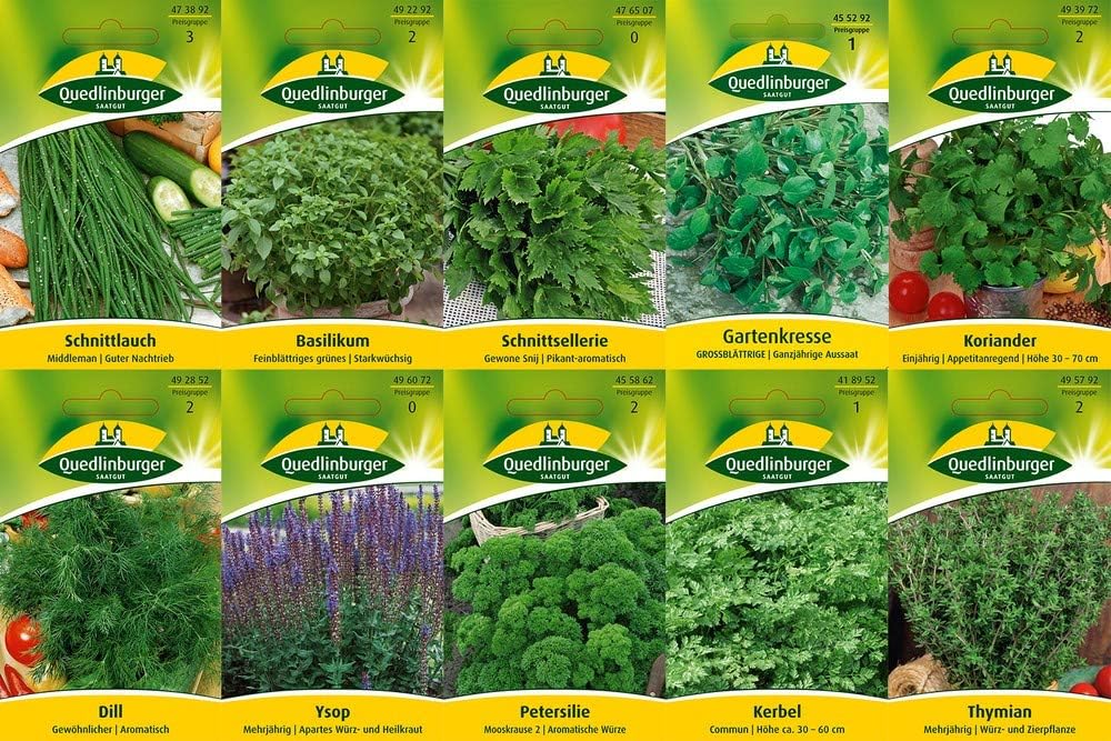 10 Varieties | Herb Seed Assortment | Suitable for Beginners | Now Winter Special Price