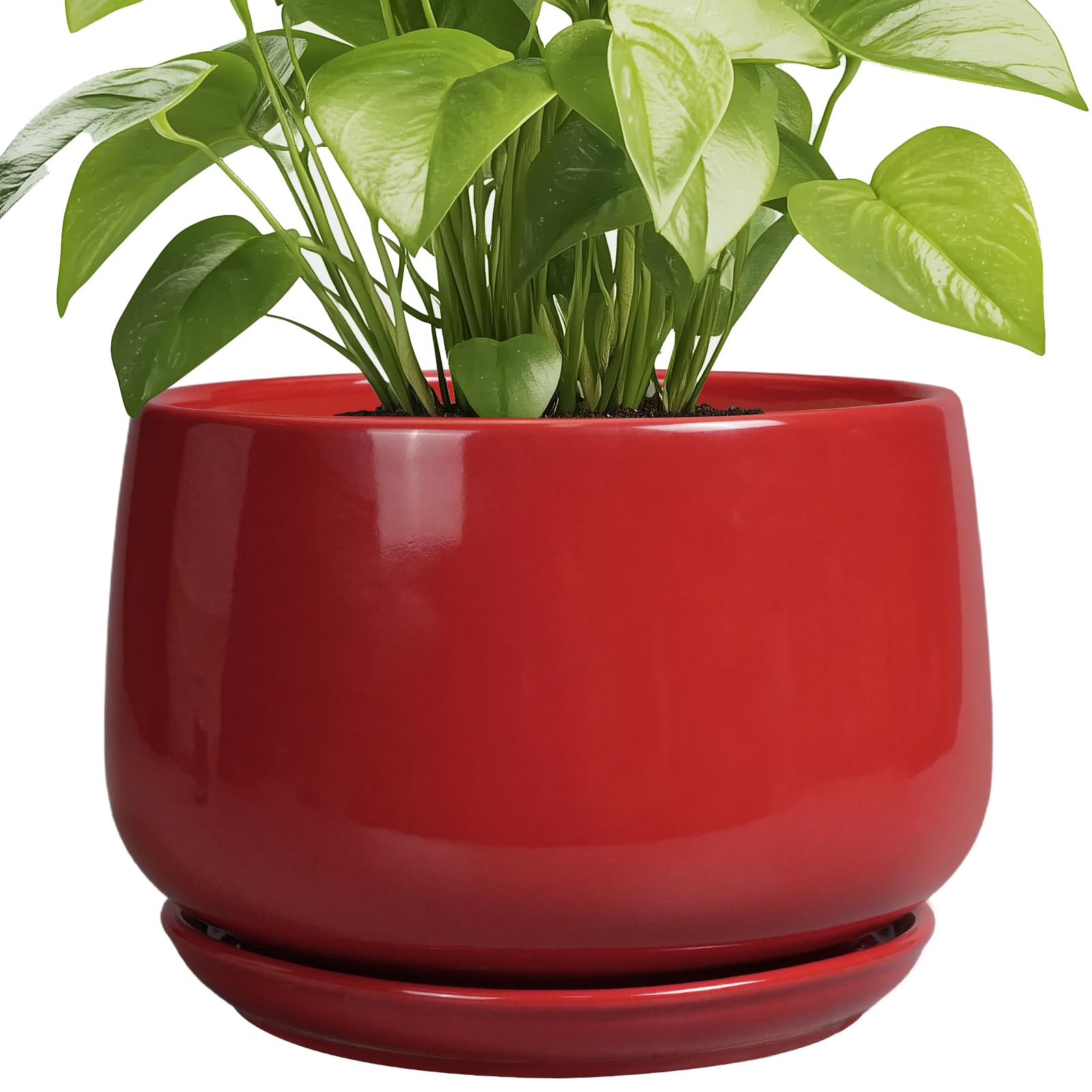 Photo 1 of G EPGardening Ceramic Plant Pots - 9 Inch Flower pots for Indoor Outdoor Plant, Round Planter with Drainage and Saucer, Modern Home Decor, Gift for Women Men, Red