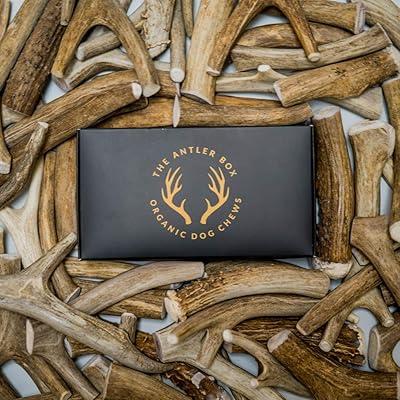 Ang Antler Box Premium Deer Antler Dog Chews 1 lb Bulk Pack -Medium Malaki at XL Buong Antlers-Long Lasting Organic Chewing Laruan Sourced mula sa Naturally Shed Antlers sa The USA