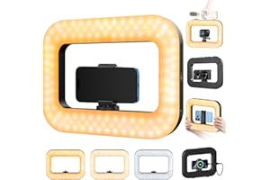 yAyusi Cell Phone Light for Video Recording, Handheld Phone Stabilizer with Light, 8000mAh LED Selfie Phones Ring Light with Phones Holder, Smartphone Video Rig for Camera, Action Camera, Vlog, TikTok