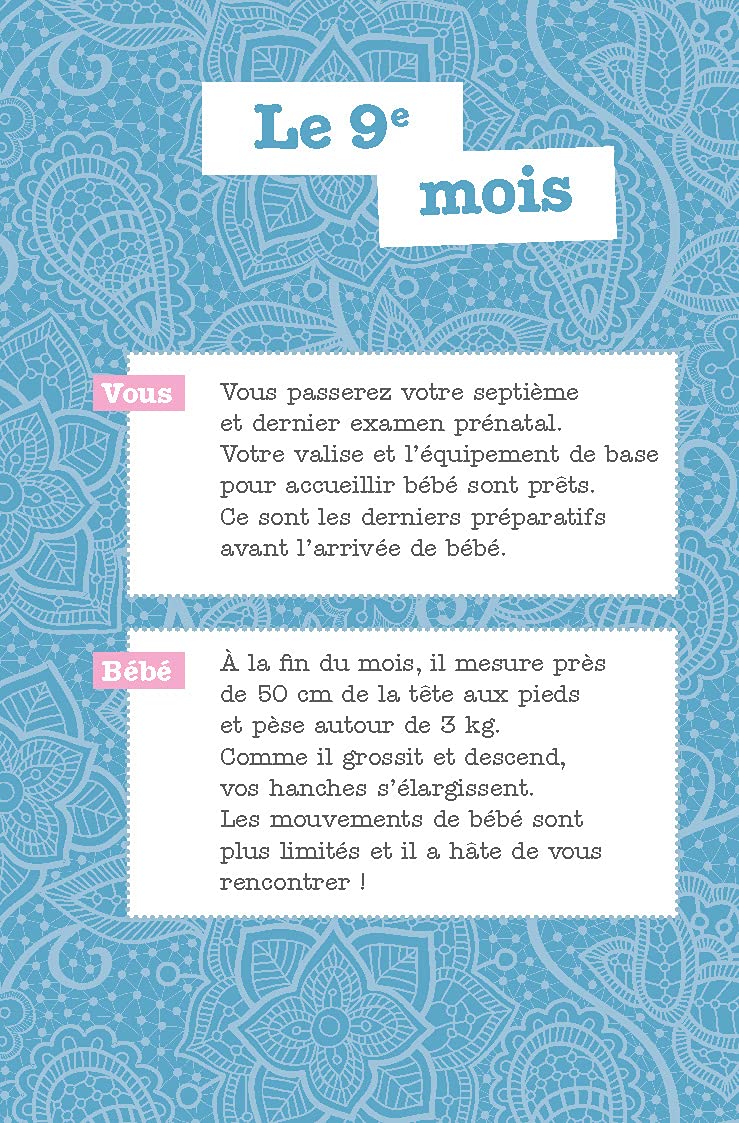 Attendre Bebe En Toute Serenite Avec Un Carnet De Bort Et Un Bola Chic Et Ethnique Amazon Co Uk Dury Sandrine Books