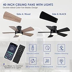 Ceiling Fans with Lights,Modern Low Profile Ceiling