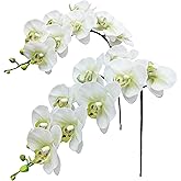 Fnize Faux Orchid Stems Real Touch Artificial Phalaenopsis Flowers Latex Petals 38 Inches 2pcs (Green White)