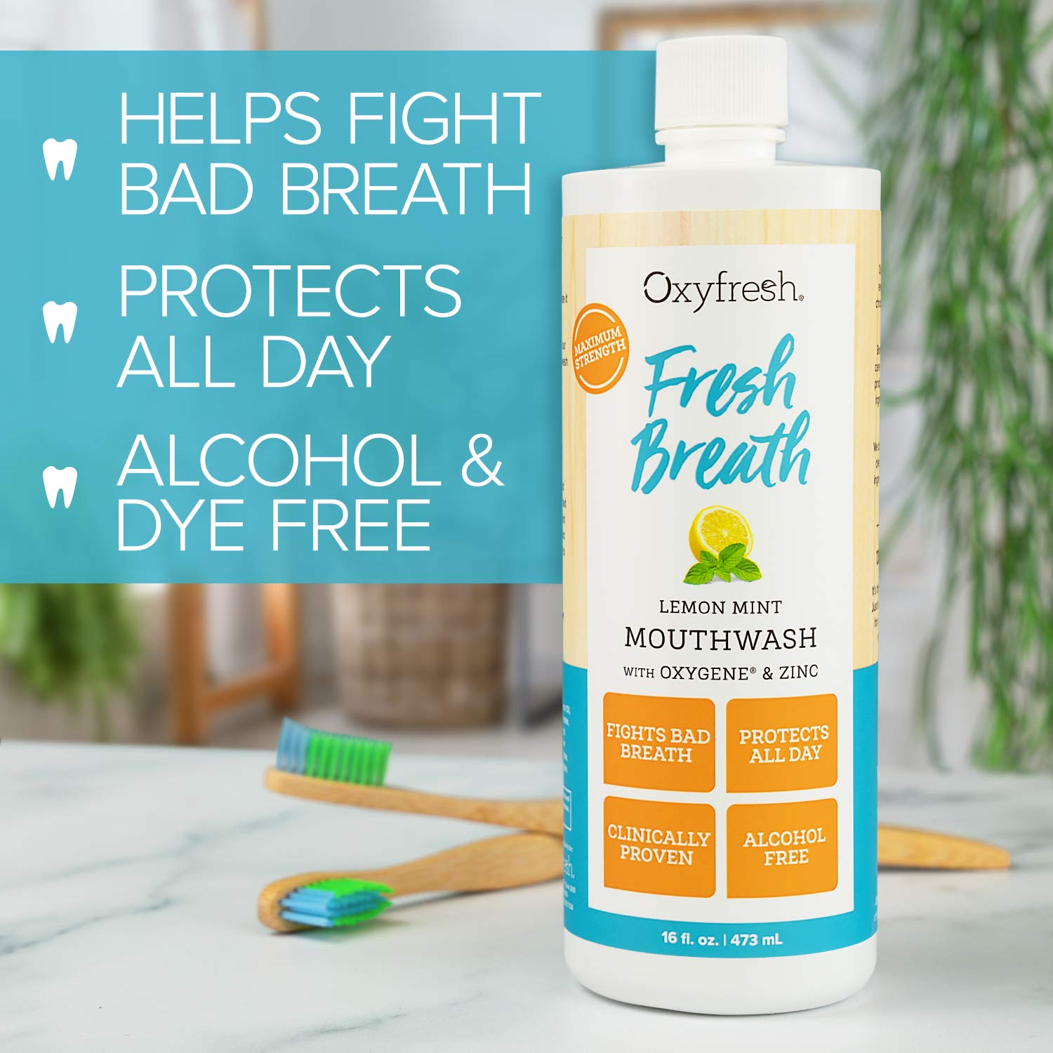 Oxyfresh Fresh Breath Lemon Mint Mouthwash | Award-Winning, Dentist-Recommended Bad Breath Mouthwash - Alcohol & Fluoride Free w/Aloe & Natural Essential Oils (1-16 oz Bottle) : Beauty