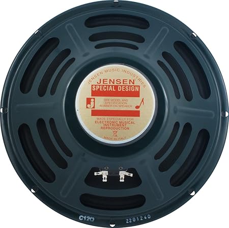 jensen 12 inch guitar speaker