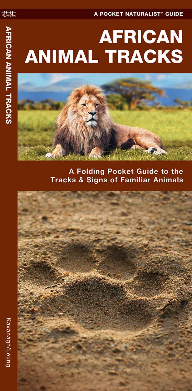 African Animal Tracks A Folding Pocket Guide To The Tracks
