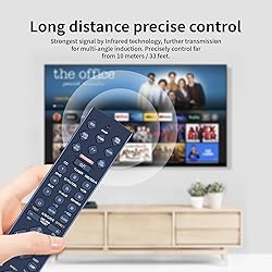 PZL RAV206 V694090US Replacement Remote Control fit