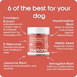 Puptons Total Urinary Care Dog Tablets 60 Chicken Flavour UTI Support view 5