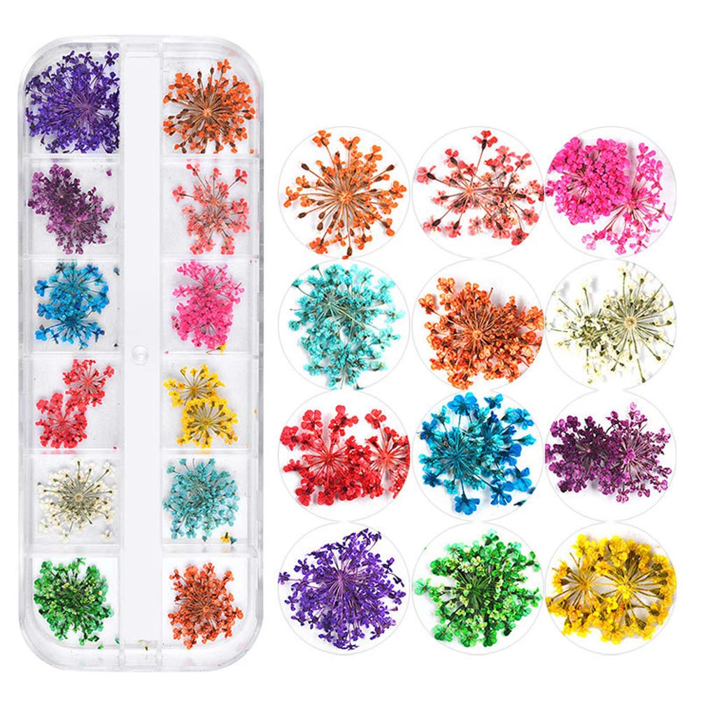 Cavestoff 24PCS 12 Color 3D Dried Flower Nail Decoration Natural Floral Sticker Mixed Dry Flower DIY Nail Art Decals Jewelry UV Gel Polish Manicure