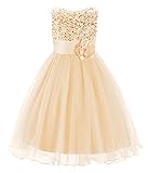 JerrisApparel Little Girls' Sequin Mesh Flower Ball