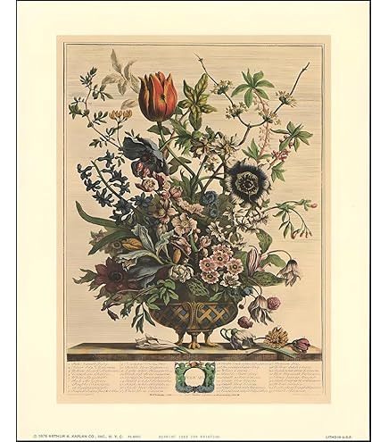 Amazon.com: Robert Furber - Twelve Months of Flowers 1730/February