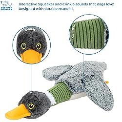 Best Pet Supplies Interactive Squeaky Dog Chew