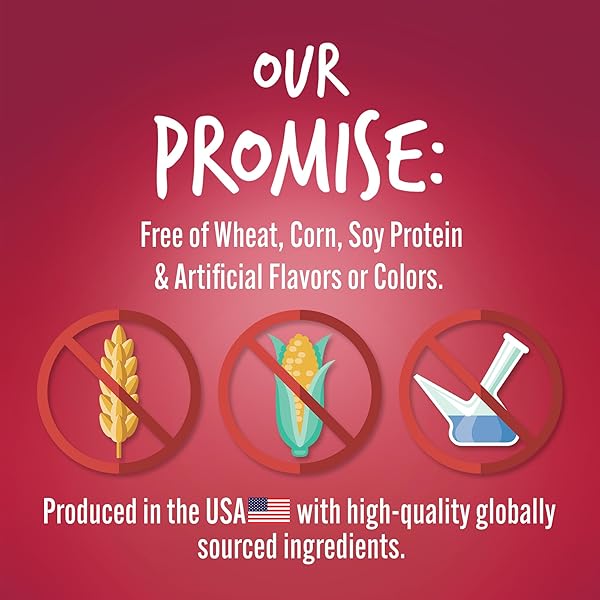 FRUITABLES SKINNY MINIS DOG TREATS, HEALTHY PUMPKIN TREAT FOR DOGS, LOW CALORIE & DELICIOUS, PUPPY TRAINING, NO WHEAT, CORN OR SOY, MADE IN THE USA, WATERMELON FLAVOR, 5OZ