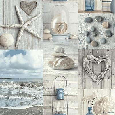 Arthouse Maritime Collage 699000 Wallpaper Blue Beach Seashells Coastal
