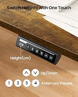 ErGear Electric Standing Desk 120x60cm 4 Memory Panel Sit Stand view 4