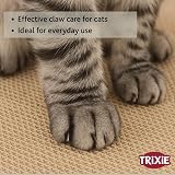 TRIXIE Wild Cat Scratching Board with Catnip Blue 41 x 7 x 24 cm view 4