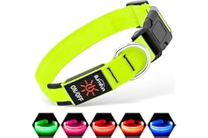 Illumifun LED Dog Collar - USB Rechargeable Light Up Dog Collar Glow in The Dark - Adjustable Safety Collar Light for Small M