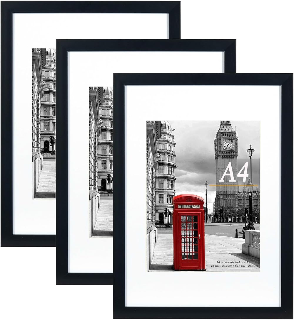 Scholar Tree A4 Picture Frame Set of 3 with Mounts Freestanding Wall Mountable