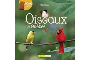 Oiseaux du Québec: OISEAUX DU QUEBEC